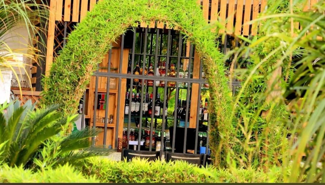 Hotel Plant House Ruiru Zewnętrze zdjęcie